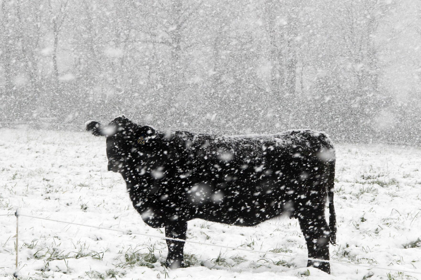 2011: Snow Storm